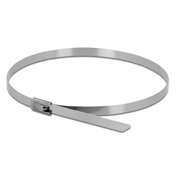 DELOCK μεταλλικός σφιγκτήρας καλωδίων 18770, 500×4.6mm, 10τμχ