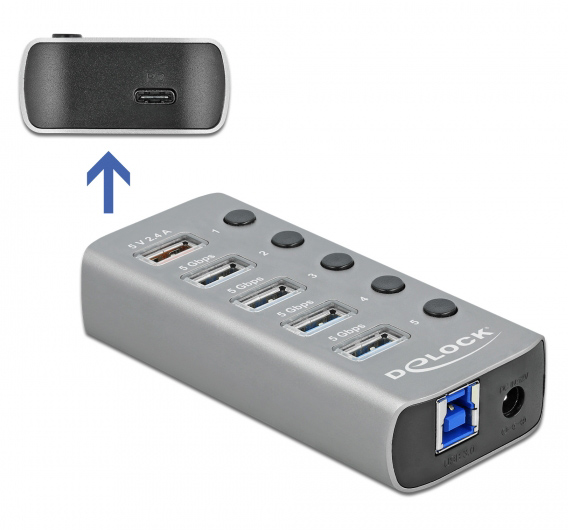 DELOCK USB hub 63263 με διακόπτες, 6x θυρών, 5Gbps, 12V/2.25A PD, γκρι