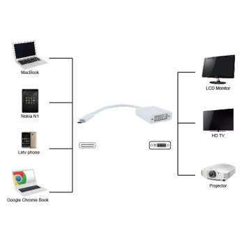 POWERTECH αντάπτορας USB Type-C σε DVI PTH-036, 4K, λευκό